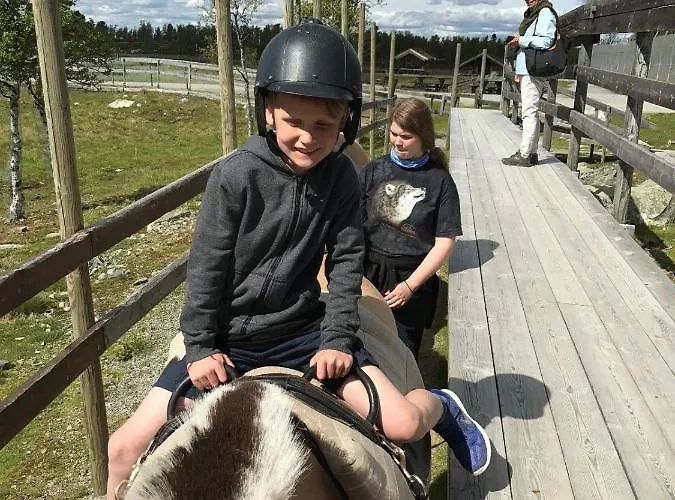 Feriehus Luxury In The Mountains With Facileties